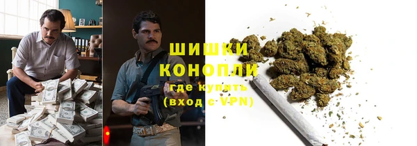 гашик Белокуриха