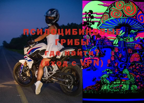 гашик Белокуриха
