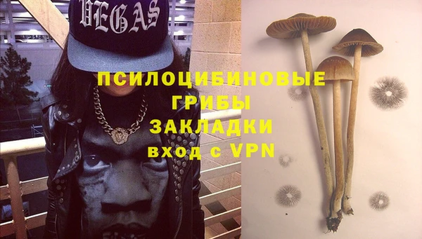 гашик Белокуриха