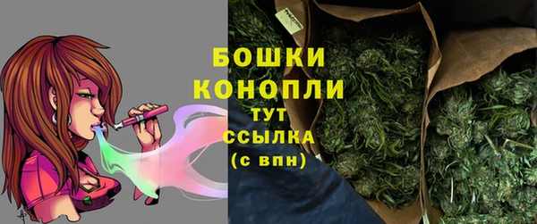 гашик Белокуриха