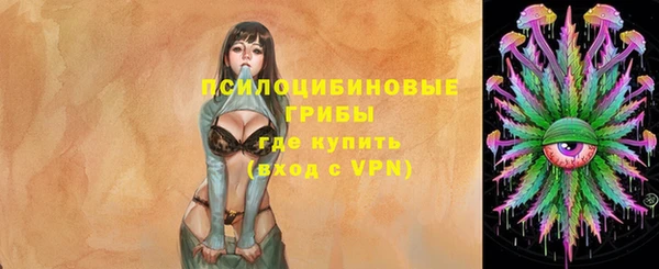 гашик Белокуриха