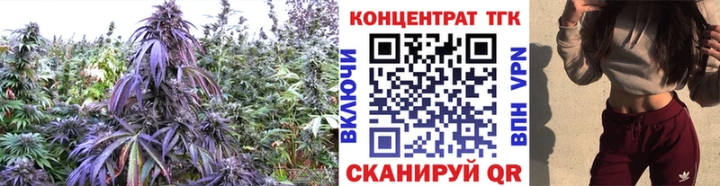 Дистиллят ТГК гашишное масло  Купить  Кумертау 