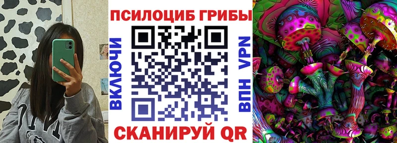 Купить где  Кумертау  Галлюциногенные грибы Psilocybine cubensis 